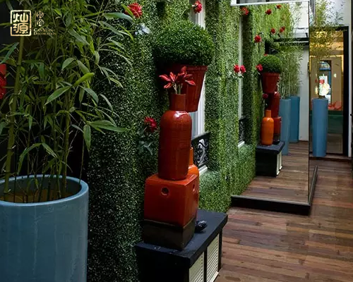 酒店設(shè)計-植物效果